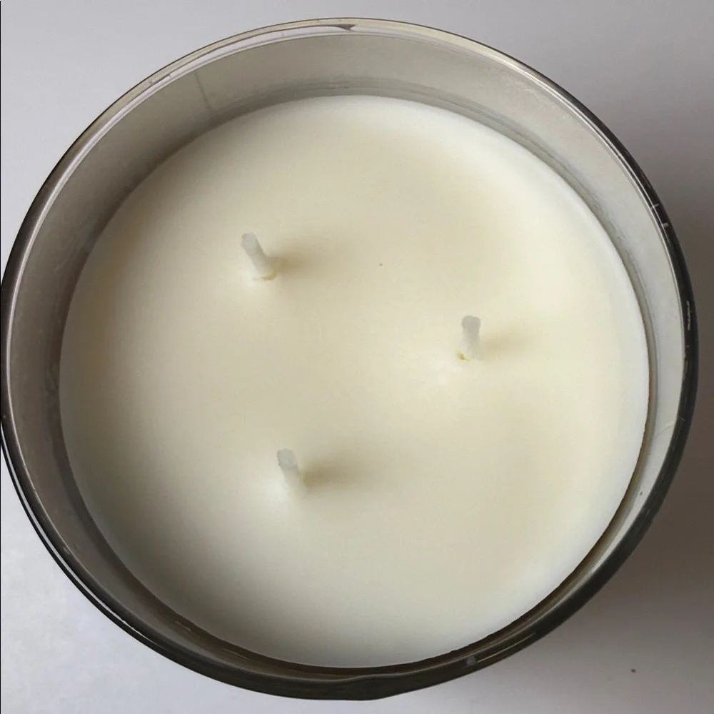 Bath & Body Works Cranberry & Eucalyptus 3 Wick Candle